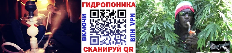 Купить наркотик аптеки Бугульма Псилоцибиновые грибы  Бошки Шишки  Меф  АМФ  ГАШ  А ПВП 