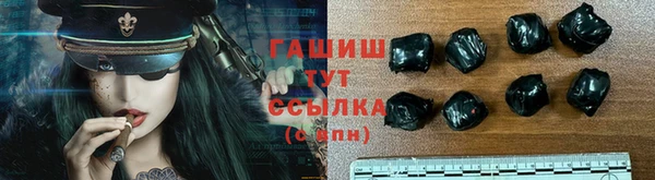 молекула духа Богородицк