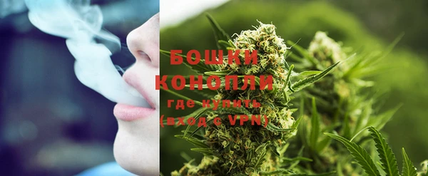 дживик Белокуриха