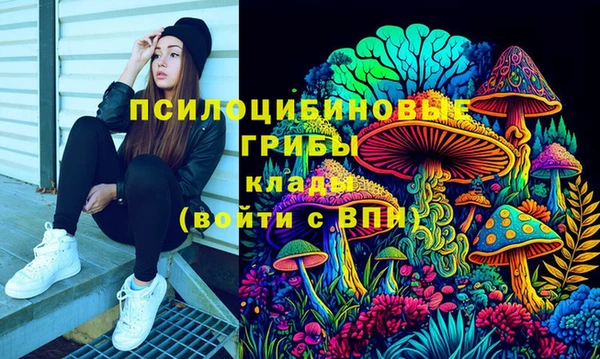 герыч Богородск