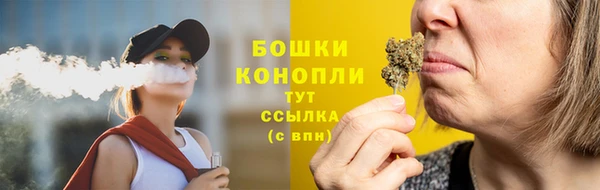 ГАЛЛЮЦИНОГЕННЫЕ ГРИБЫ Рославль