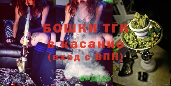 дживик Белокуриха