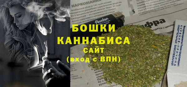 дживик Белокуриха
