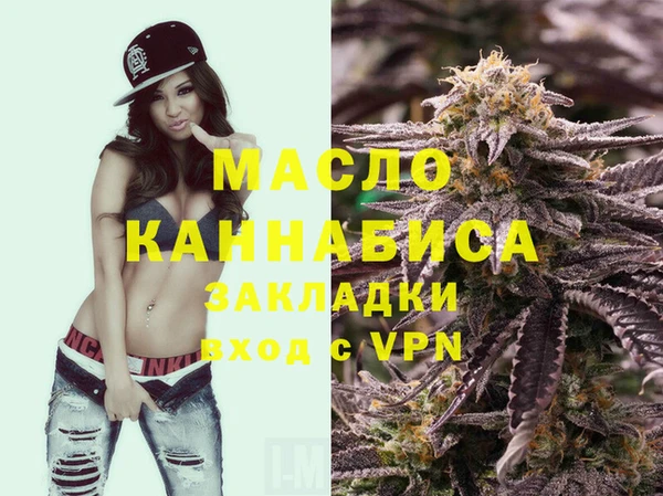 молекула духа Богородицк