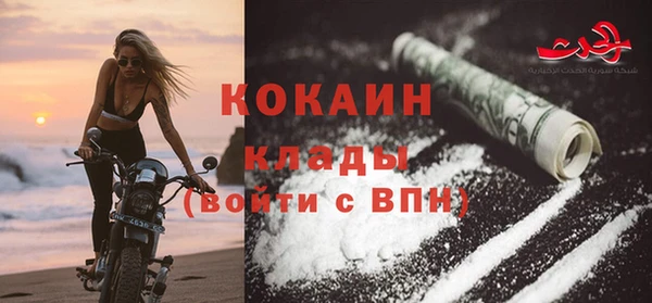 дживик Белокуриха